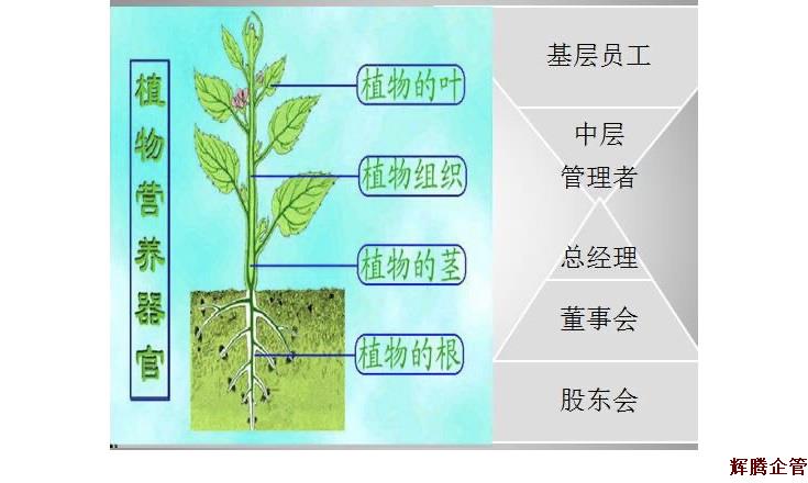 企業(yè)與樹.jpg